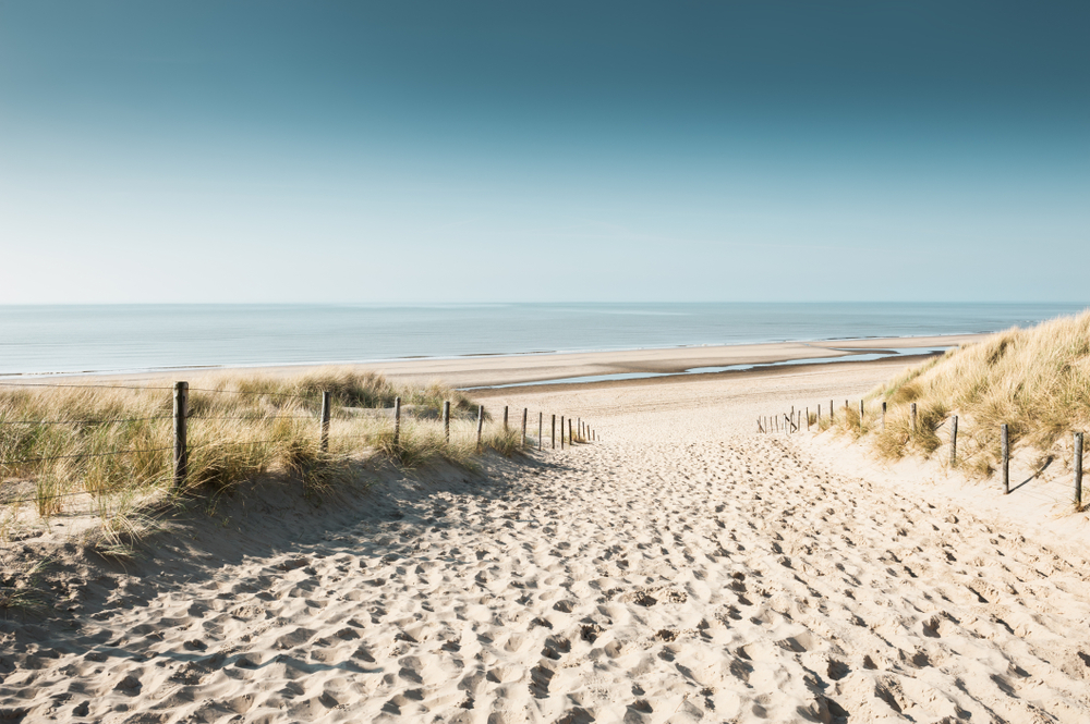Beach Walks