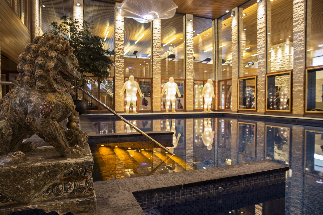 Wellness